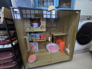 (Category: ) located in . Submitted by haazrishah (Listing ID 1336950426, Image 1). Description: .