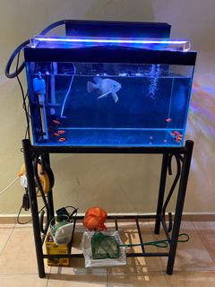 (Category: ) located in . Submitted by pigletng (Listing ID 1337004117, Image 1). Description: .