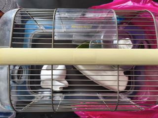 (Category: ) located in . Submitted by mew.96d1dc (Listing ID 1336916404, Image 1). Description: .