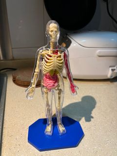 （分類：）位於 。 由 adelinechan307 提交（商品編號 1336883992，圖片 1）。簡介： 。