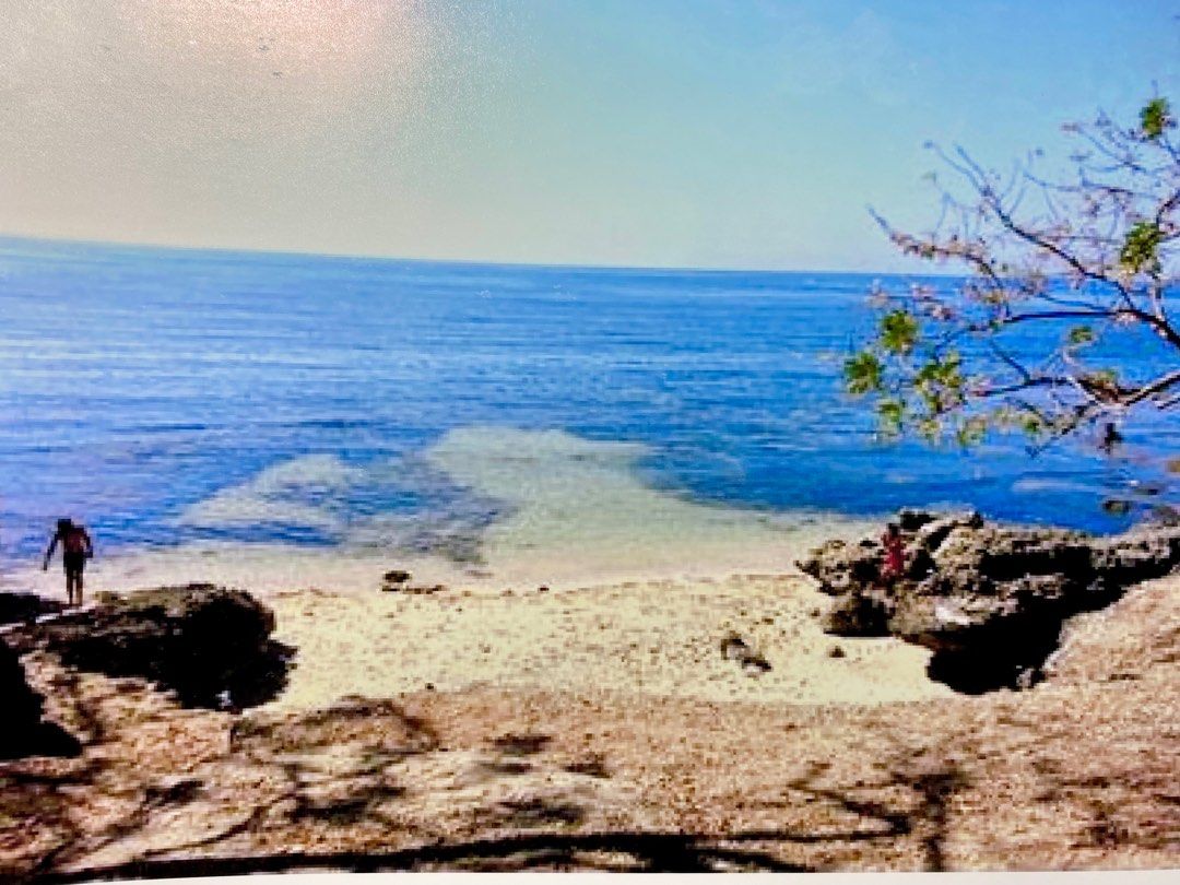 LA UNION BEACH FRONT LOT (Category: Commercial) located in Quezon City. Submitted by inaroman (Listing ID 1336948382, Image 1). Description: Prime site for beach resort hotel , condo and commercial development. The beach is a continuation of the famous Bauang beach line to San Fernando, La Union. It is located near the Thunderbird resort & casino and the road going to the airport. Total area is 39,388sqm at P16Ksqm. The property sale can be divid