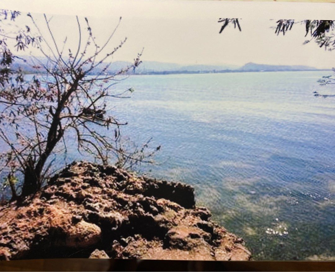 LA UNION BEACH FRONT LOT (Category: Commercial) located in Quezon City. Submitted by inaroman (Listing ID 1336948382, Image 3). Description: Prime site for beach resort hotel , condo and commercial development. The beach is a continuation of the famous Bauang beach line to San Fernando, La Union. It is located near the Thunderbird resort & casino and the road going to the airport. Total area is 39,388sqm at P16Ksqm. The property sale can be divid