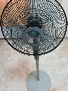 (Category: ) located in . Submitted by Double_Chin_Cat (Listing ID 1336889784, Image 1). Description: .