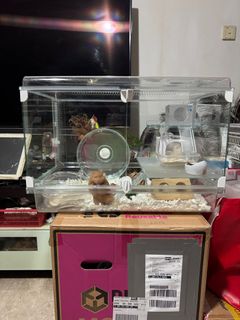(Category: ) located in . Submitted by forctis (Listing ID 1337013124, Image 1). Description: .