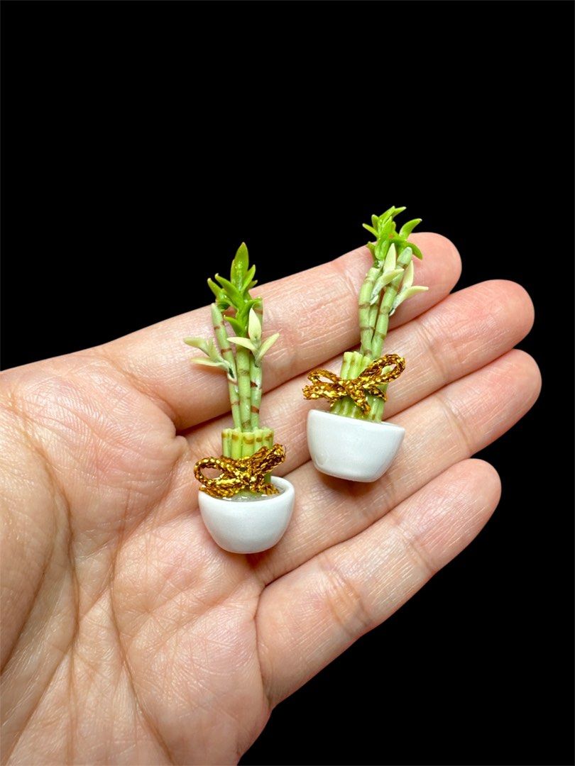 Handmade Miniature Lucky Bamboo Plant for fengshui, garden, fortune, good luck (clay), 2 pcs (1 Pair) (Category: Flowers & Bouquets) located in Singapore. Submitted by mini.collectibles.1 (Listing ID 1337124710, Image 1). Description: Handmade Miniature Lucky Bamboo Plant for fengshui, garden, fortune, good luck (clay), 2 pcs (1 Pair) Qty: 2 pcs as 1 Pair No choosing of pot/tray/plate. Randomly pick by seller. All are handmade. Size may varies. M