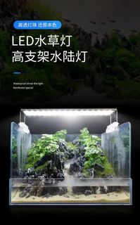 （分類：）位於 。 由 TOPONEBUYER 提交（商品編號 1334114640，圖片 1）。簡介： 。