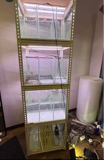 (Category: ) located in . Submitted by ShopWithZack (Listing ID 1334111532, Image 1). Description: .