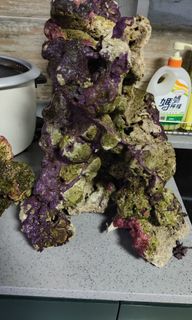 (Category: ) located in . Submitted by anm.courier (Listing ID 1334122170, Image 1). Description: .