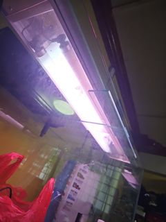 (Category: ) located in . Submitted by zhenweicai (Listing ID 1334102005, Image 1). Description: .