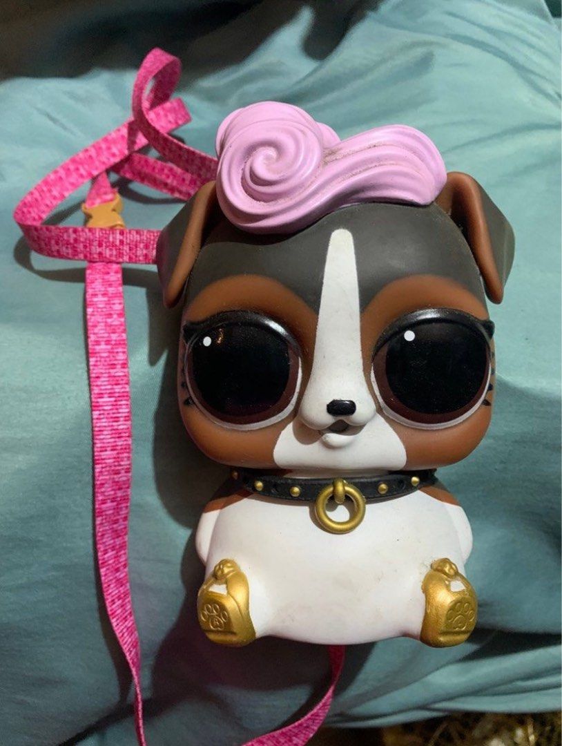 LOL Surprise Biggie Pet Puppy Bank and Strap backpack MGA Hobbies Toys Toys Games on Carousell