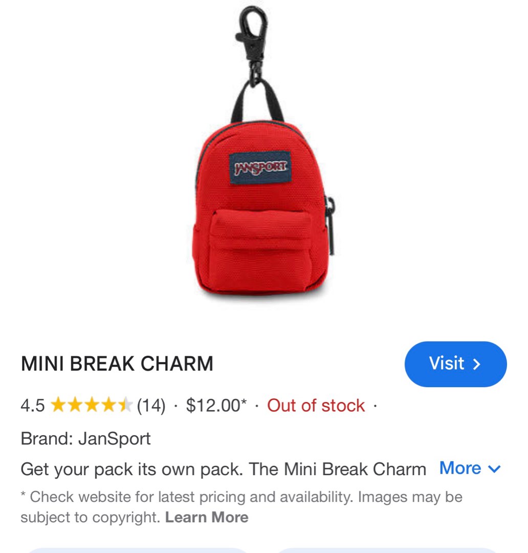 Original Jansport Mini Break Charm Men s Fashion Bags Belt bags Clutches and Pouches on Carousell