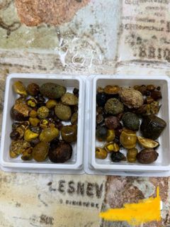 (Category: ) located in . Submitted by THEAGARWOOD (Listing ID 1334184216, Image 1). Description: .