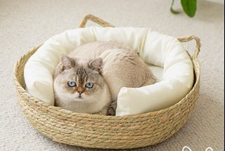 （分類：）位於 。 由 anniebhs01426 提交（商品編號 1337354920，圖片 1）。簡介： 。