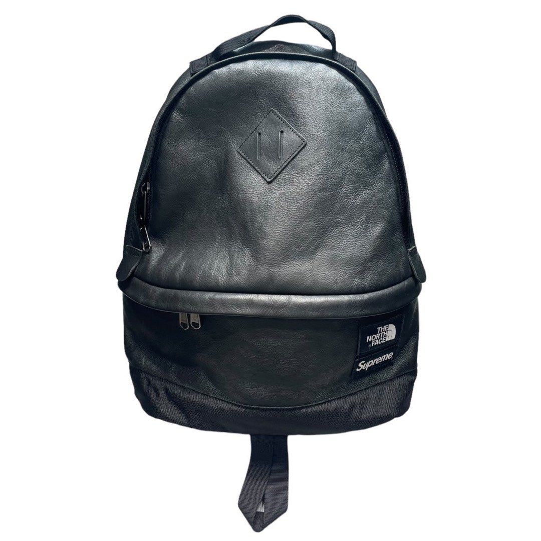 Supreme the north face leather day pack online