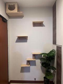 (Category: ) located in . Submitted by adamstuffs (Listing ID 1337369031, Image 1). Description: .