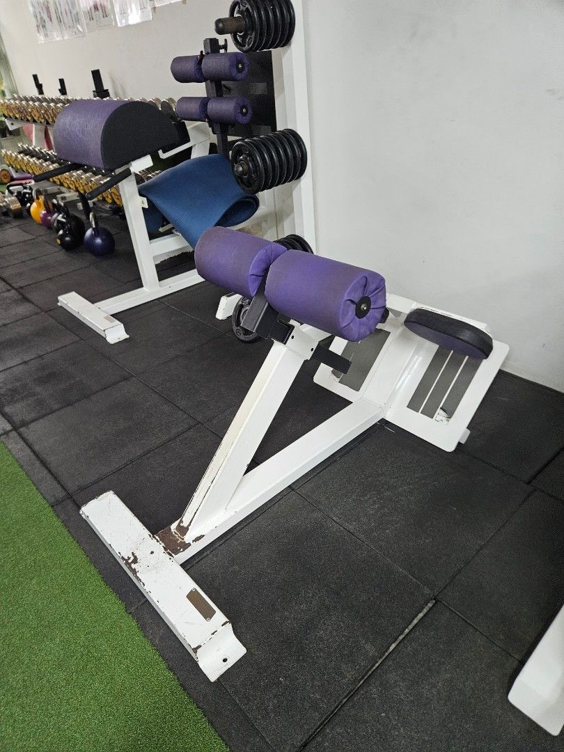 Watson glute ham raise new arrivals