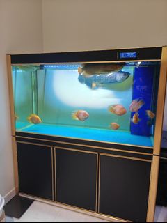 (Category: ) located in . Submitted by johnlimhk88 (Listing ID 1337529502, Image 1). Description: .