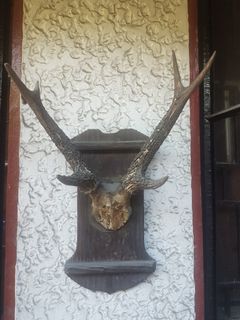 (Category: ) located in . Submitted by saintland (Listing ID 1337476241, Image 1). Description: .