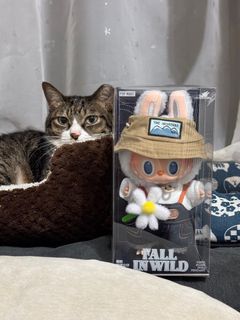 （分類：）位於 。 由 tyyyyy.t 提交（商品編號 1337562195，圖片 1）。簡介： 。