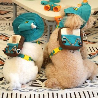 （分類：）位於 。 由 mico.pet 提交（商品編號 1337471467，圖片 1）。簡介： 。