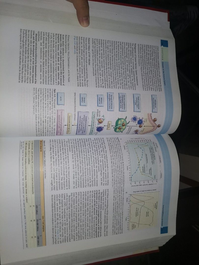 Robbins & Cotran Pathologic Basis of Disease 9th Edition (Category: Textbooks) located in Valenzuela. Submitted by cesellsout (Listing ID 1337524422, Image 3). Description: 📣 For Sale: Robbins & Cotrans 9th Ed Pathologic Basis of Disease Reprint po ito pdf Mura na po ito compare magpaprint na colored 2pesos/page + Hard Bound RFS: emptying shelf po shipping via J&T, lalamove muna po MOP: Gcash, cash, bdo/bpi Please feel free to chat for more info