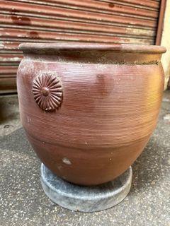 Terracotta pot planter