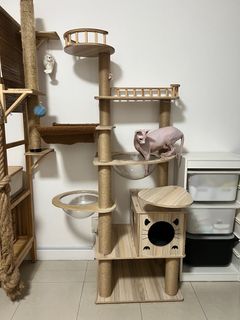 (Category: ) located in . Submitted by bengalsg (Listing ID 1337707686, Image 1). Description: .