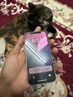 (Category: ) located in . Submitted by qwertyuiop. (Listing ID 1337686304, Image 1). Description: .