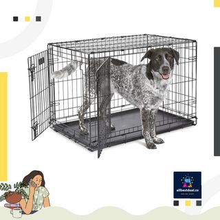 Dog Crate XL MidWest I Crate Folding Metal W/ Divider Panel
