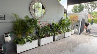 (Category: ) located in . Submitted by greenamuletslandscape (Listing ID 1337732706, Image 1). Description: .
