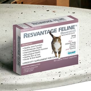（分類：）位於 。 由 catdoggstore 提交（商品編號 1337837788，圖片 1）。簡介： 。