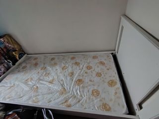（分類：）位於 。 由 jlo75637 提交（商品編號 1337837738，圖片 1）。簡介： 。