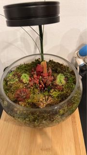 (Category: ) located in . Submitted by audux (Listing ID 1337947044, Image 1). Description: .