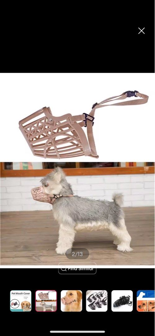 Dog Muzzle Dog Mouth Cover Protection Size #2 (Category: Homes & Other Pet Accessories) located in Cavite. Submitted by shop_qrated (Listing ID 1338112248, Image 2). Description: Dog Muzzle Dog Mouth Cover Protection. Size #2. 1 piece only. RFS: bought the wrong size for our dog. For free na lang but miner shoulder SF..