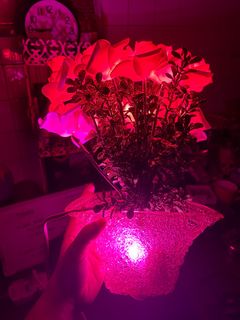 (Category: ) located in . Submitted by orangemango44 (Listing ID 1338060045, Image 1). Description: .