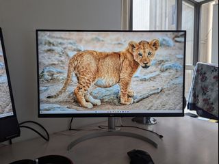 LG 31.5" UltraFine™ 4K UHD Monitor - 32UN550-W64192324157058110