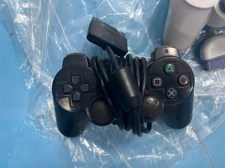 (Category: ) located in . Submitted by amarandagardens (Listing ID 1337967262, Image 1). Description: .
