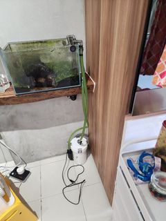 (Category: ) located in . Submitted by kindemann (Listing ID 1337935578, Image 1). Description: .