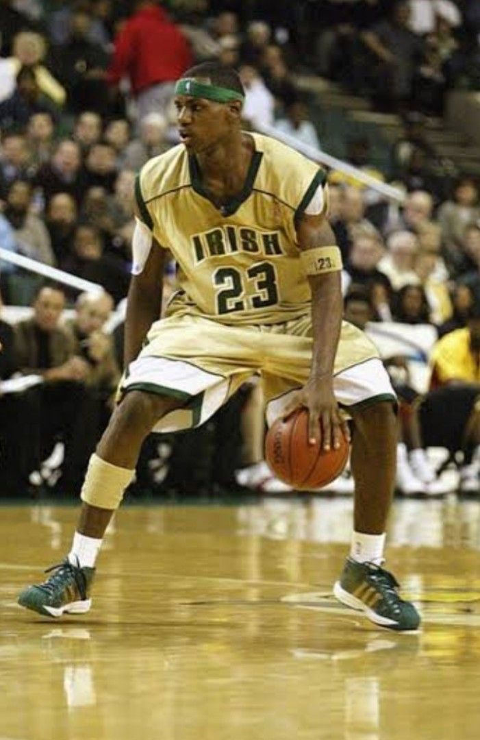 Adidas lebron james shoes hotsell