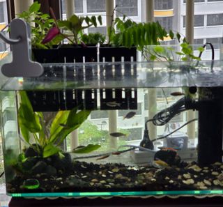(Category: ) located in . Submitted by clara_tsl (Listing ID 1338279479, Image 1). Description: .