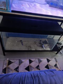 (Category: ) located in . Submitted by sun94 (Listing ID 1338327676, Image 1). Description: .