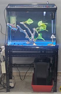 (Category: ) located in . Submitted by froman (Listing ID 1338545725, Image 1). Description: .