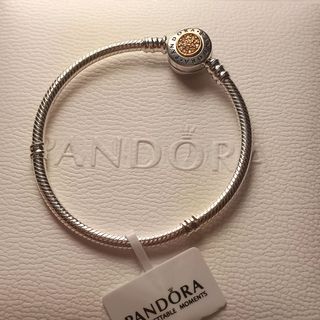 Pandora two toned Snakechain logo bracelet in silver & gold tone