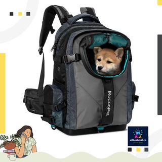 (Category: ) located in . Submitted by sg.allbestdeal (Listing ID 1338517550, Image 1). Description: .