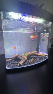 (Category: ) located in . Submitted by 4ssss (Listing ID 1338627563, Image 1). Description: .