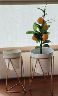 (Category: ) located in . Submitted by aromagix (Listing ID 1338497480, Image 1). Description: .