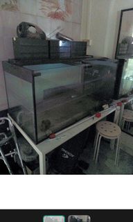 (Category: ) located in . Submitted by shop4funx3 (Listing ID 1338819381, Image 1). Description: .