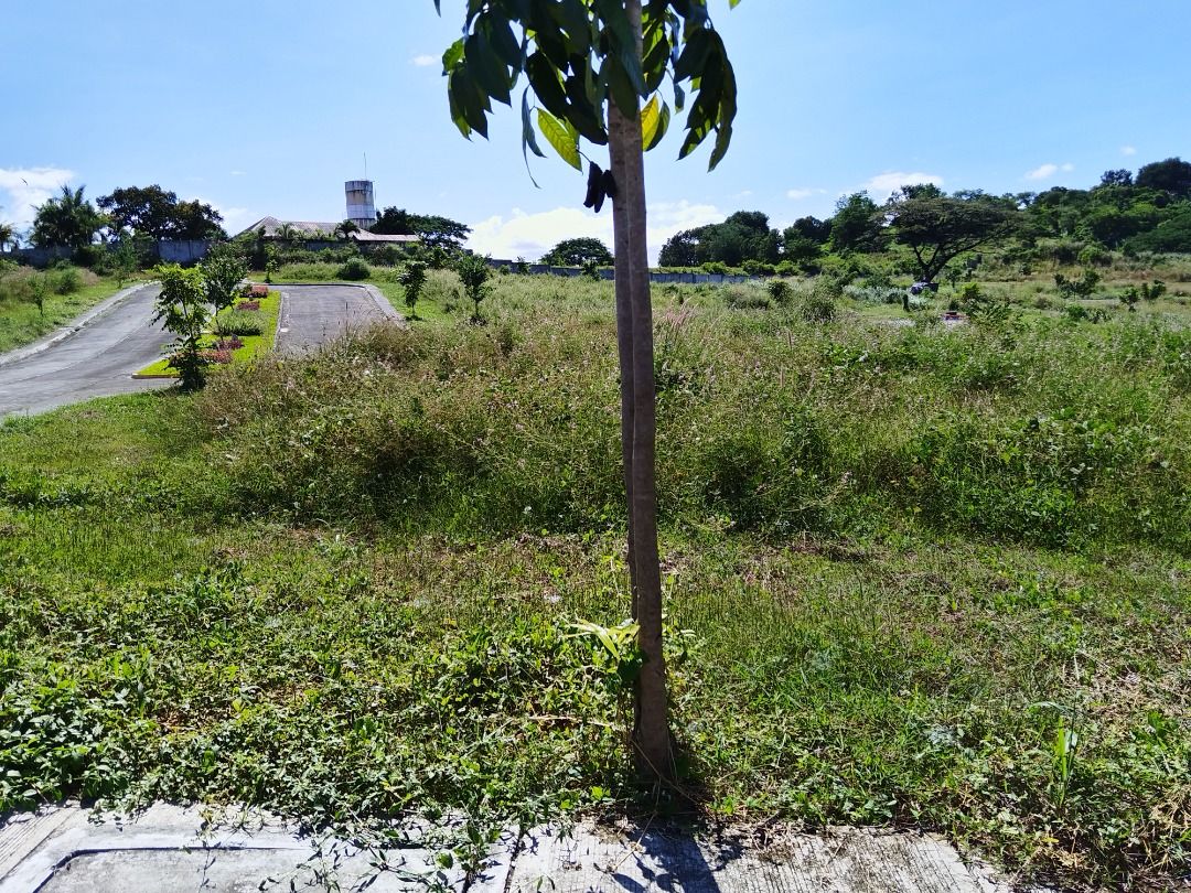 Lot For Sale Alexandra Heights Bulacan, Property, For Sale, Lot on ...