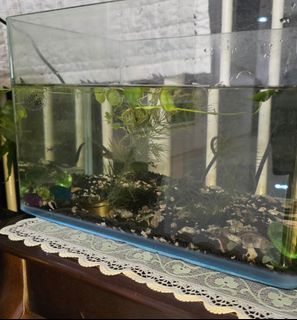 (Category: ) located in . Submitted by clara_tsl (Listing ID 1338774786, Image 1). Description: .