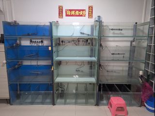 (Category: ) located in . Submitted by mylim1 (Listing ID 1338682332, Image 1). Description: .